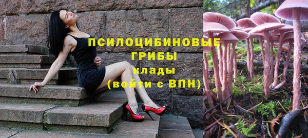 шишки Богородск