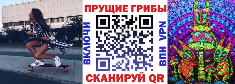 Псилоцибиновые грибы Cubensis  Невель 